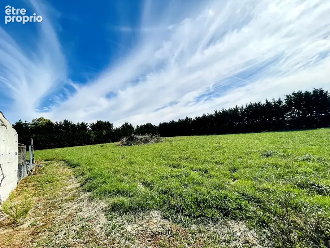 CUSSAY  - Le charme de la pierre, une vie de plain-pied et de belles dépendances - photo 6