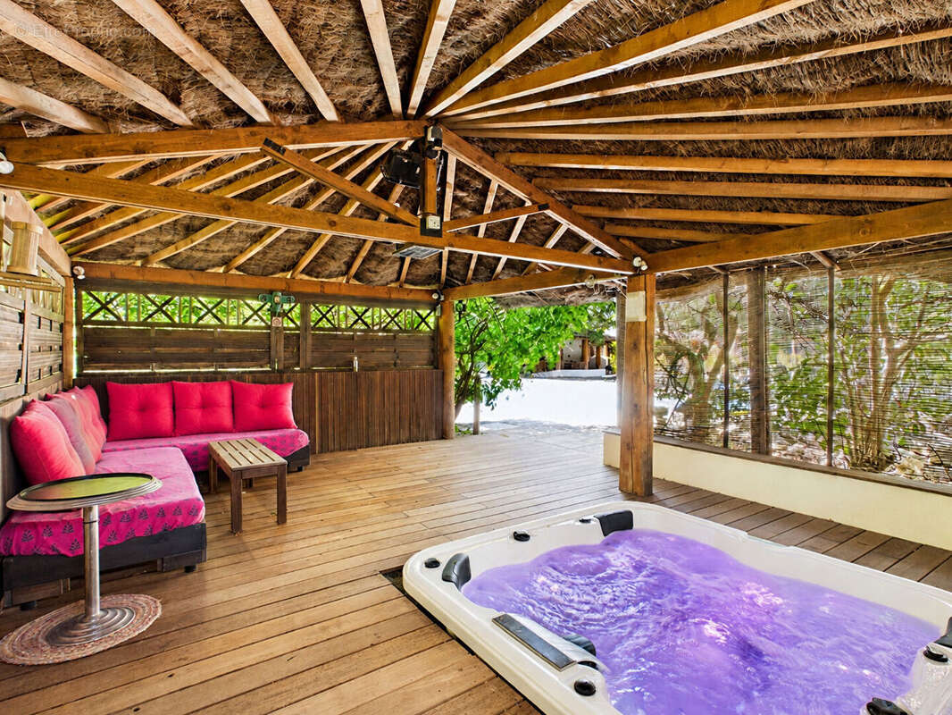 Villa 400 m2  sur 3411m² avec piscine, jacuzzi et dépendances - photo 7