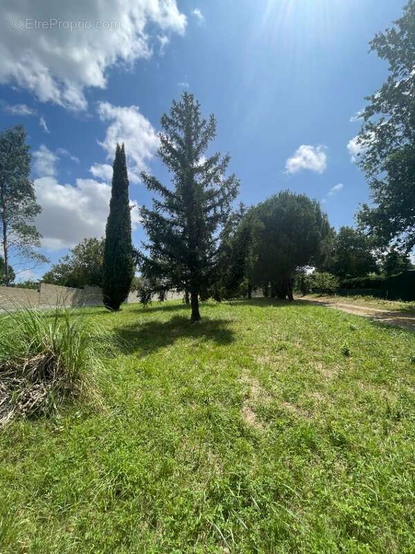 Terrain à AYGUESVIVES