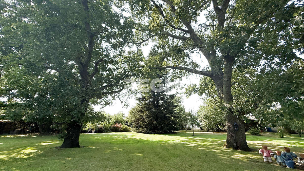 Villa d'architecte 195 m2 — Parc arboré de 5 389 m2  à MORCENX la Nouvelle - photo 2