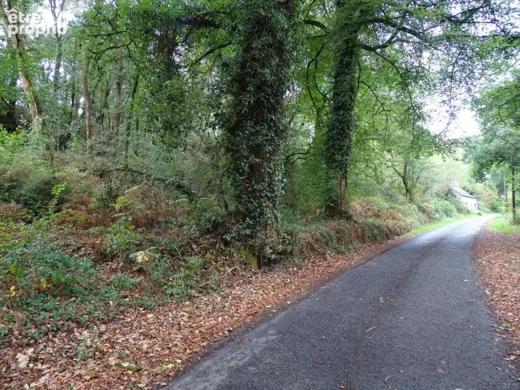 FINISTÈRE. Maison bretonne à rénover avec 8 367 m² de terrain - photo 4