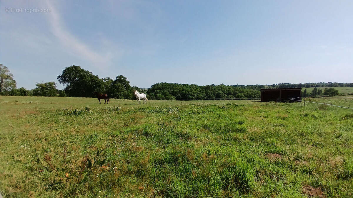 Propriété de charme : demeure principale, deux gîtes sur plus de 3 hectares - photo 18