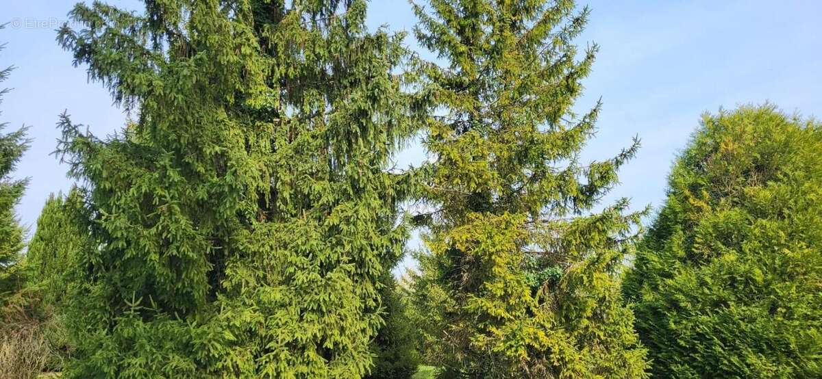 Terrain à OUZOUER-LE-MARCHE