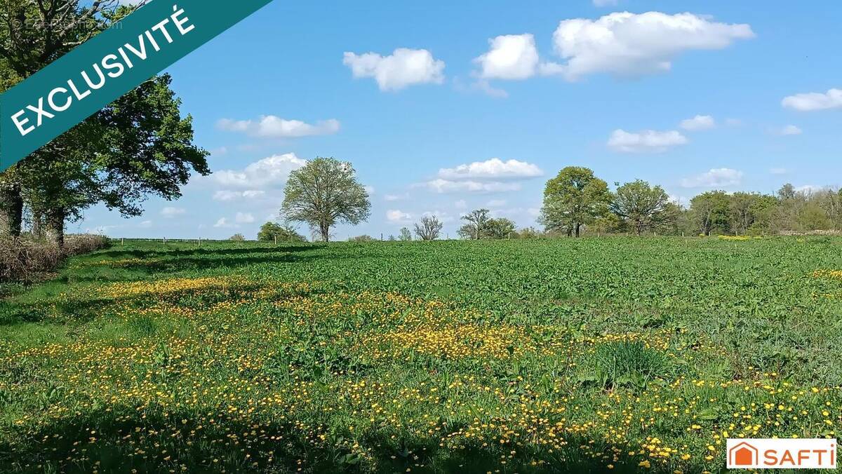 Photo 1 - Terrain à SAINT-DIZIER-LA-TOUR