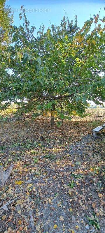Maison à SAINT-SERIES
