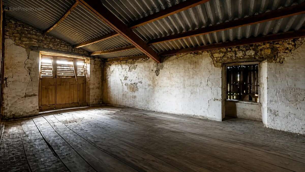 Ancien château de 7 pièces de 400 m² à Saint-Savinien - photo 8