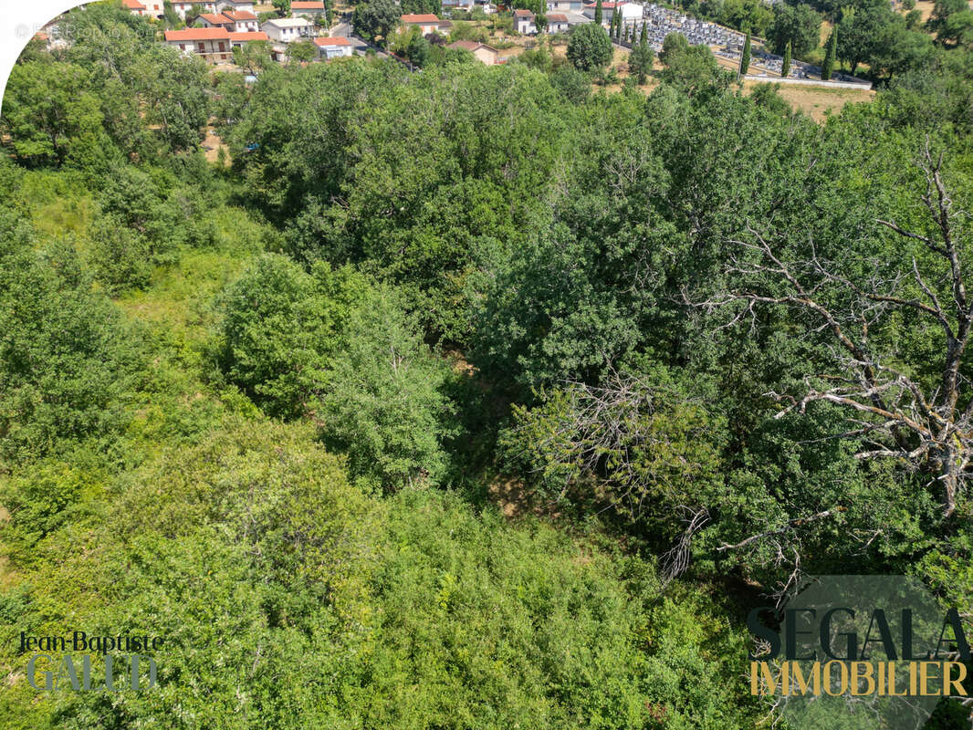 Terrain constructible de 4 526 m2 à Mirandol-Bourgnounac - photo 22