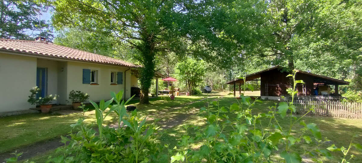 Maison de plain-pied avec jacuzzi et terrain arboré en lisière de forêt - photo 5