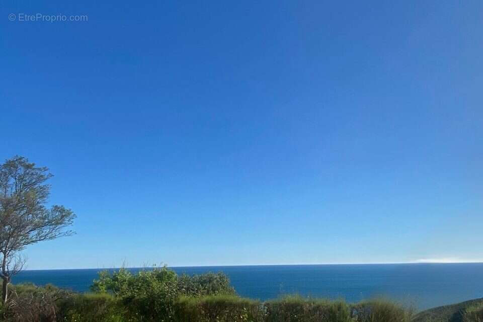 Appartement 23 m² à Banyuls-Sur-Mer  - photo 5