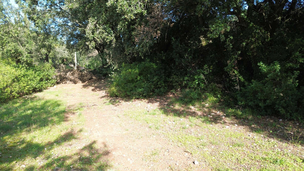 Terrain à PUECHABON