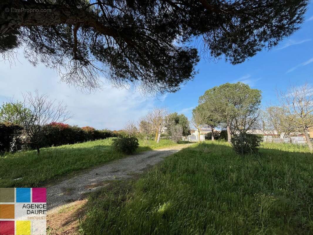 Terrain à PORTIRAGNES