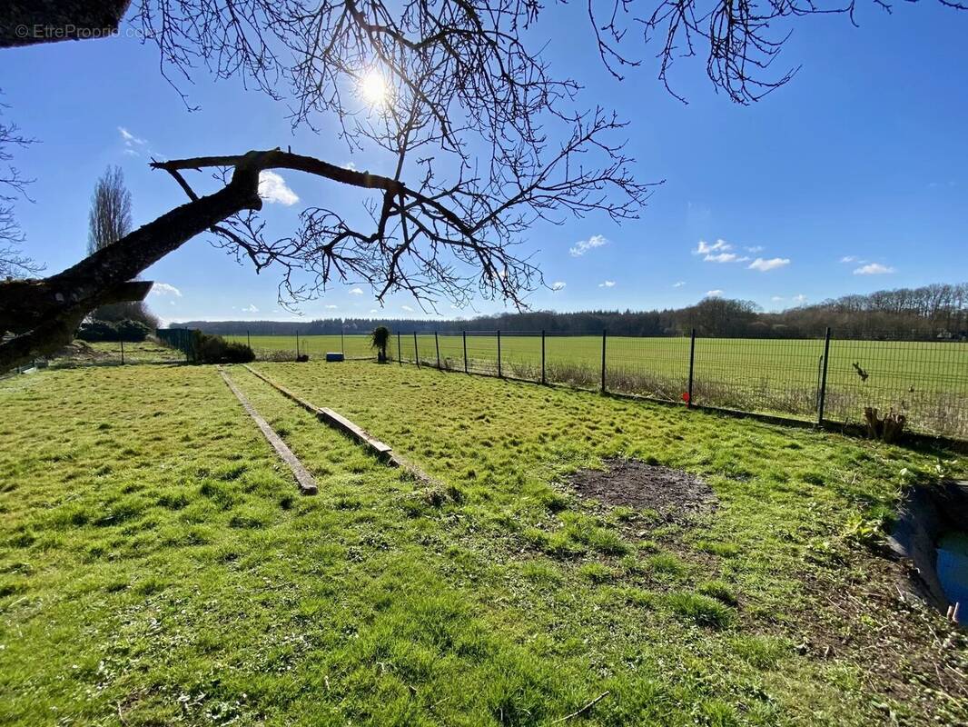 Terrain à EMALLEVILLE