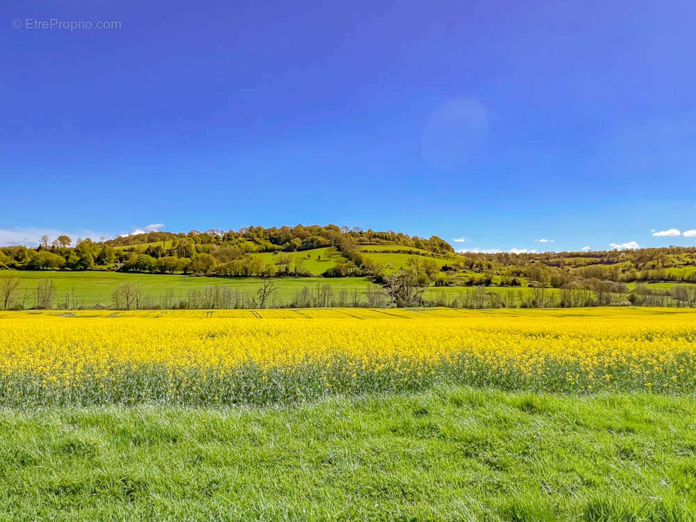 Maison à GUERQUESALLES