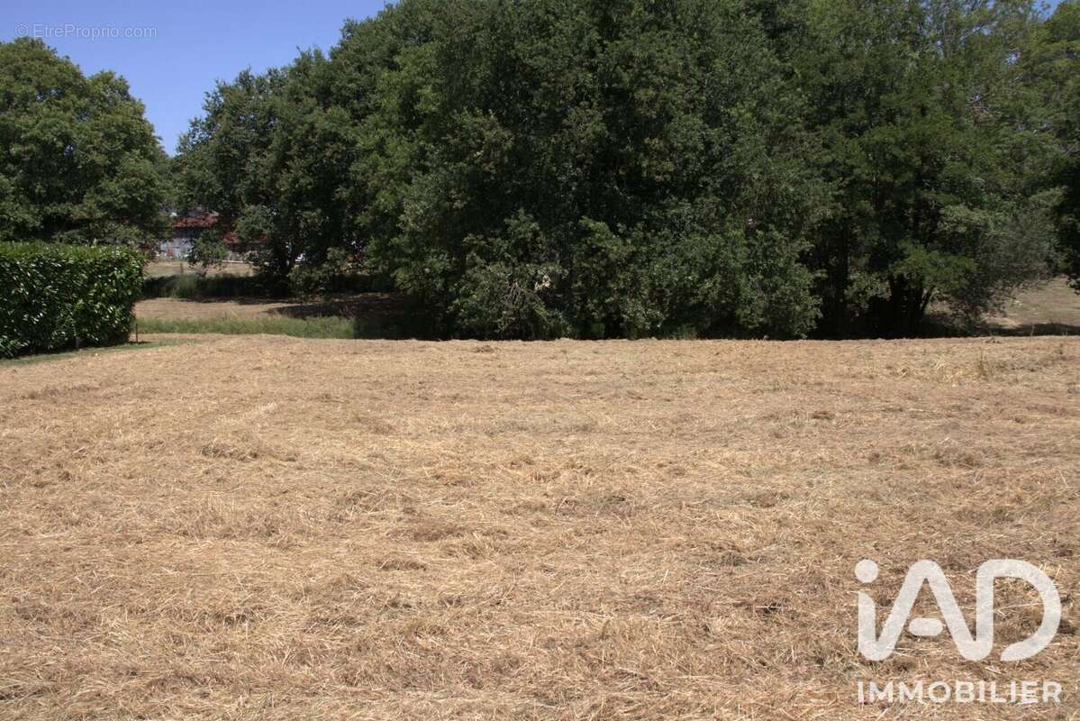 Photo 2 - Terrain à SAINT-GEOURS-DE-MAREMNE