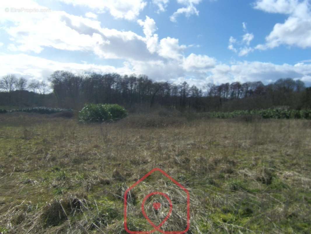 Terrain à DAMPIERRE-EN-CROT