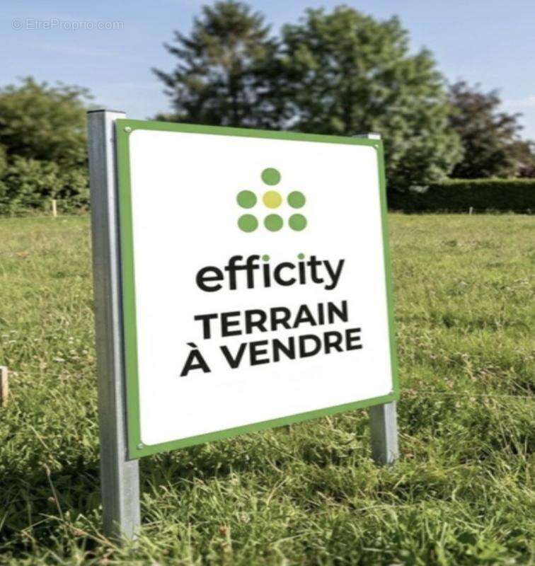 Terrain à MONTREUIL-AUX-LIONS