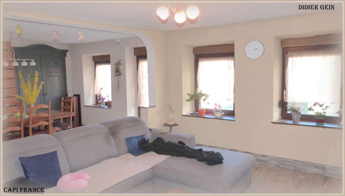 Maison à vendre 6 pièces SCHMITTVILLER (57) - photo 5
