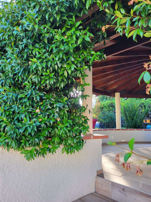 Maison à SAINT-CLAIR