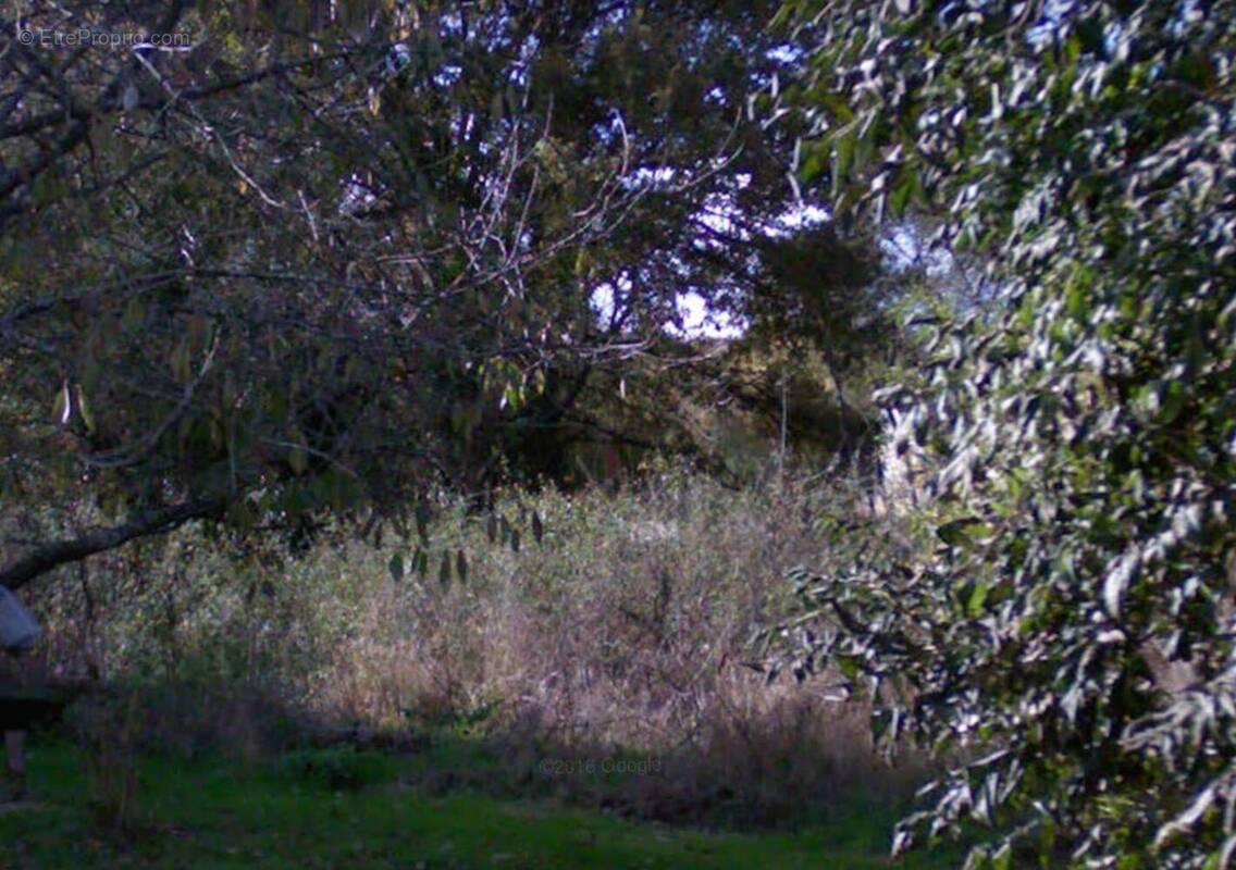 Terrain à LA CELLE-LES-BORDES