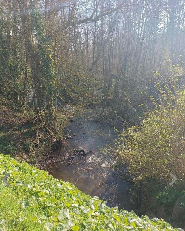 Photo 8 - Maison à LE NEUFBOURG