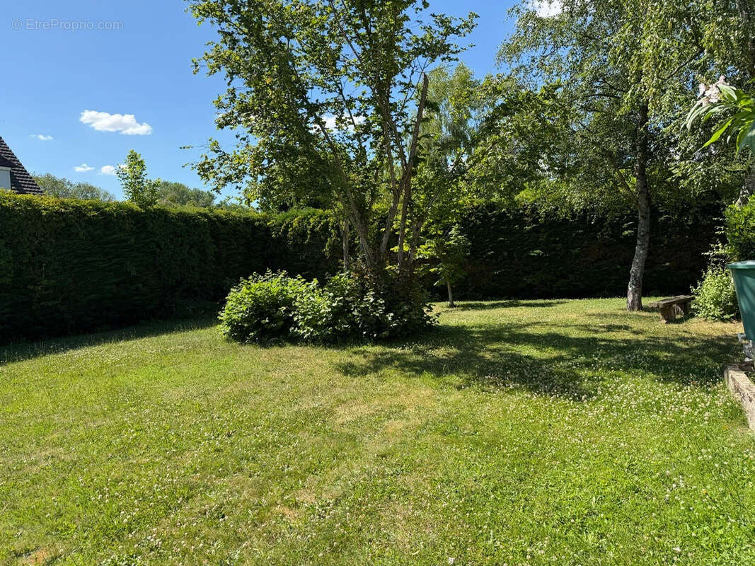 Exclusivite - coulombs - photo 6