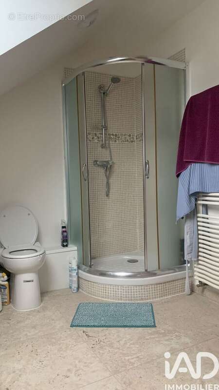 Maison 256 m² à Sainte-Maure-De-Touraine  - photo 8