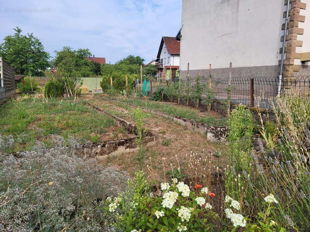 Maison 140 m² à Meisenthal  - photo 6