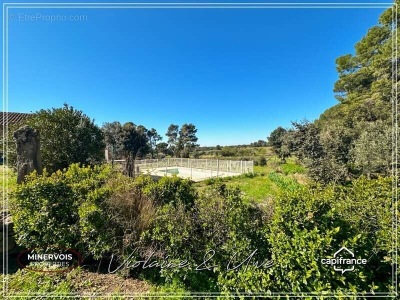 Domaine viticole d'exception de 47 hectares avec mas en pierre, gîtes et vignoble AOC Minervois – Hérault - photo 29