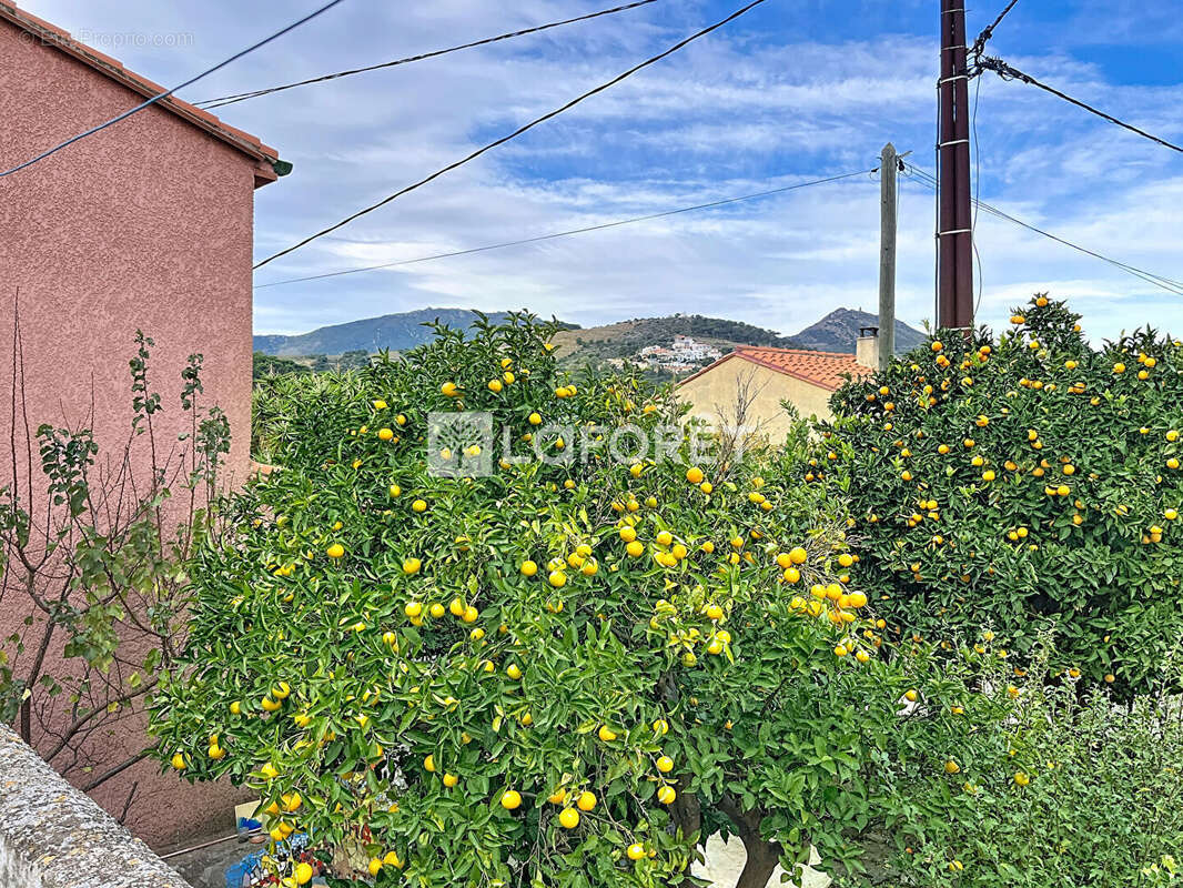 Maison à BANYULS-SUR-MER