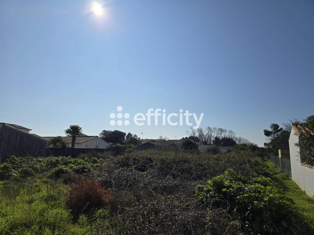 Terrain à RIVEDOUX-PLAGE