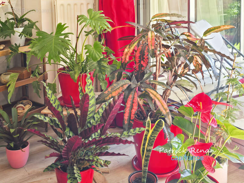 Appartement à LE CHESNAY