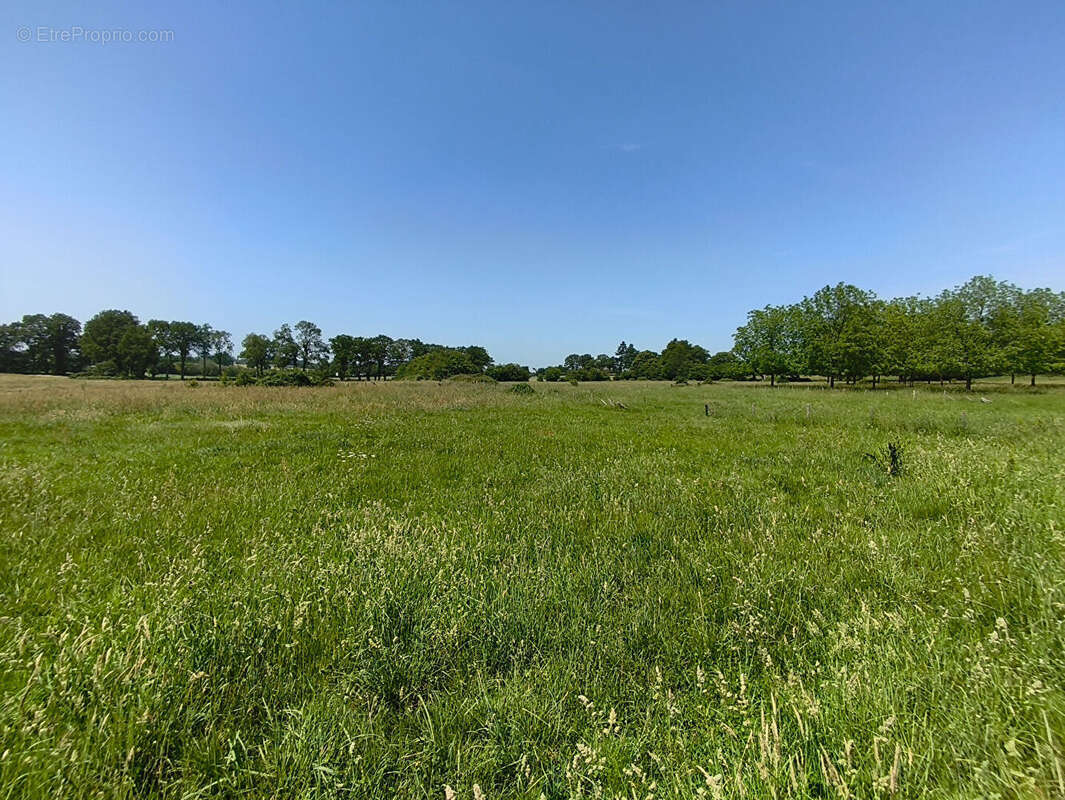 Vallée du Couesnon (35) - Propriété rurale sur 144270m2. - photo 8