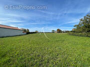 Terrain à FONTENAY-LE-COMTE