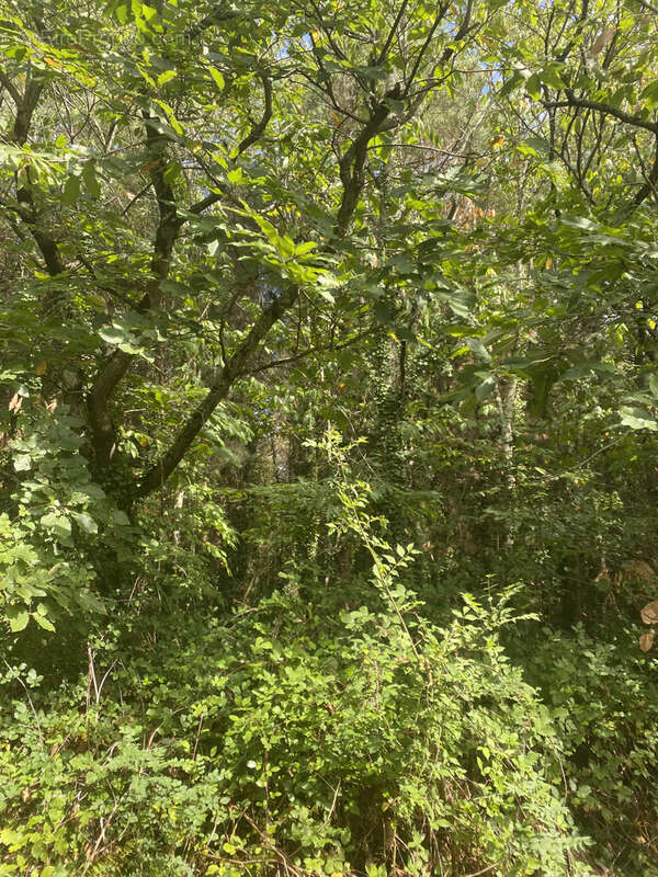Terrain à SAINT-GERVAIS