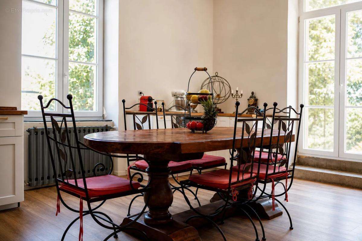 Maison de 360 m² à Neuville-sur-Ain - photo 6