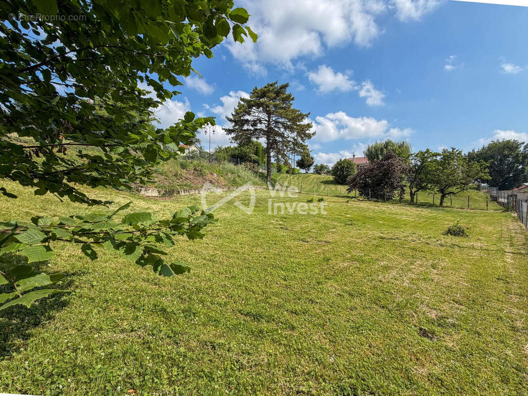 Terrain à MOISSIEU-SUR-DOLON