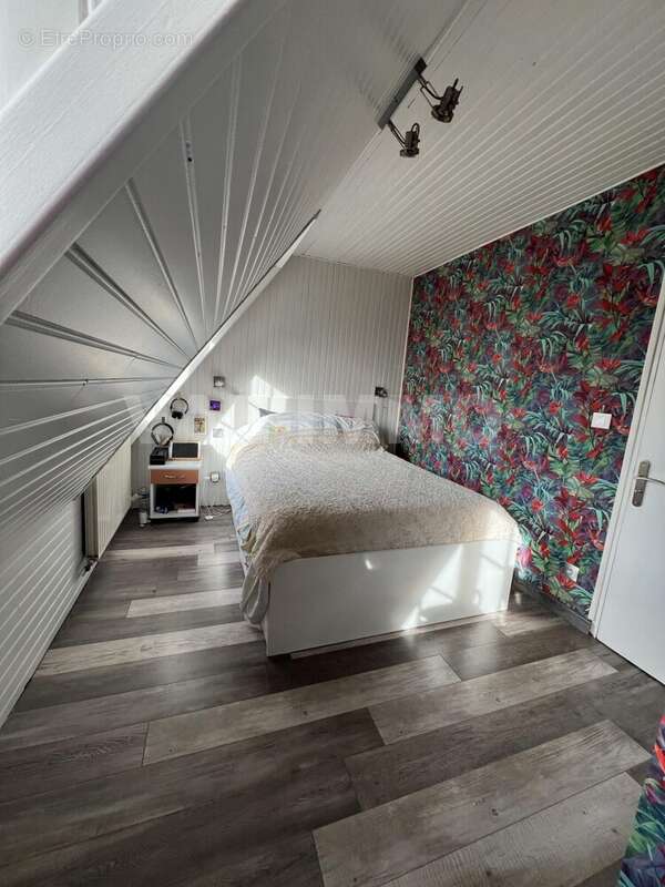 IMG_3919 - Maison à DOUAI