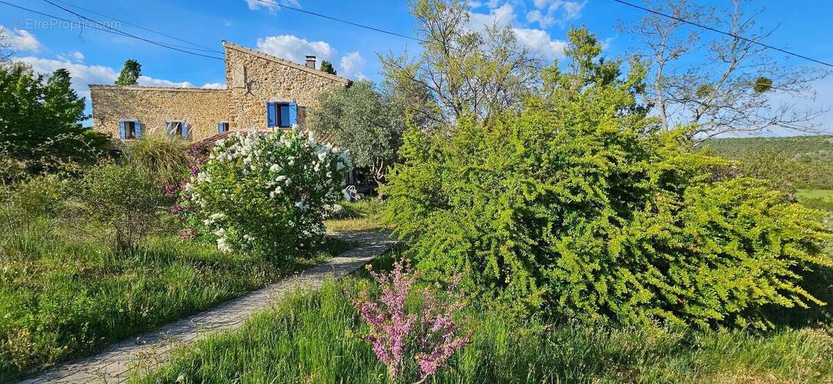 Photo 6 - Maison à FORCALQUIER