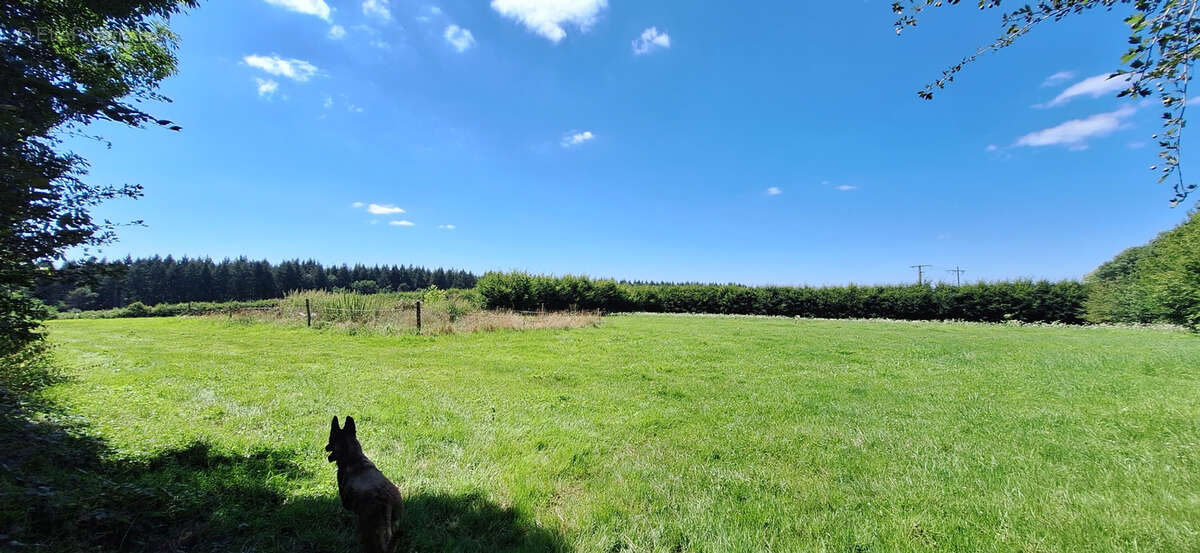 Maison à BUSSY-EN-OTHE