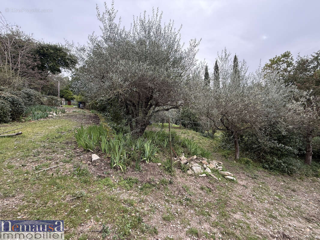 Maison à CAVEIRAC