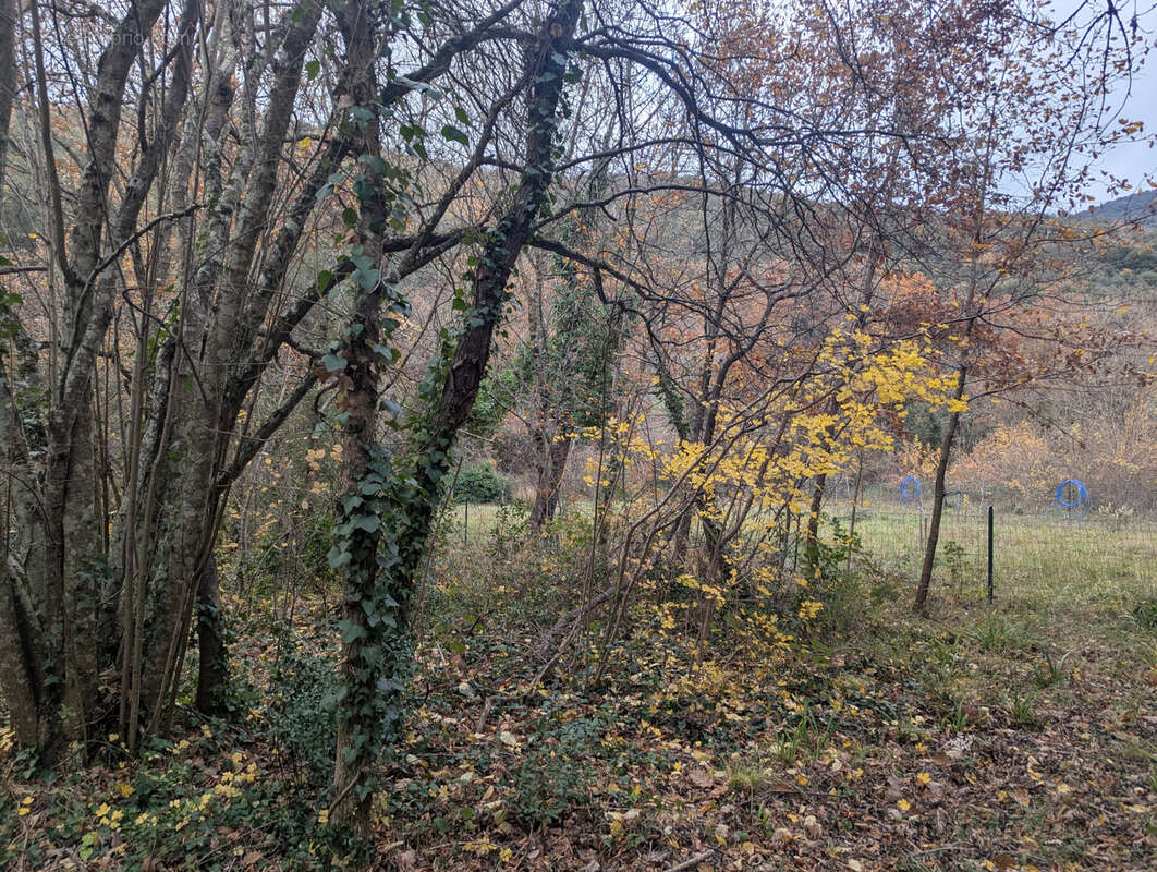 Maison Médiévale & Dépendance   Vue Château   Pays Cathare - photo 14