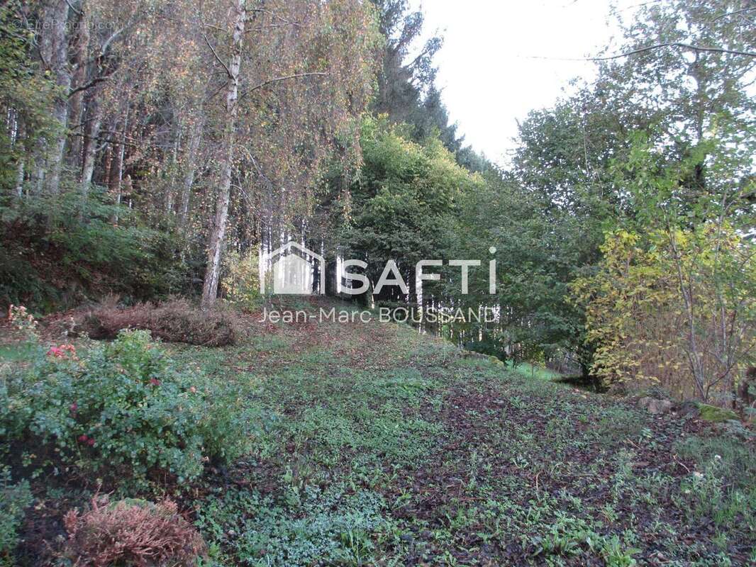 Photo 6 - Maison à THIZY