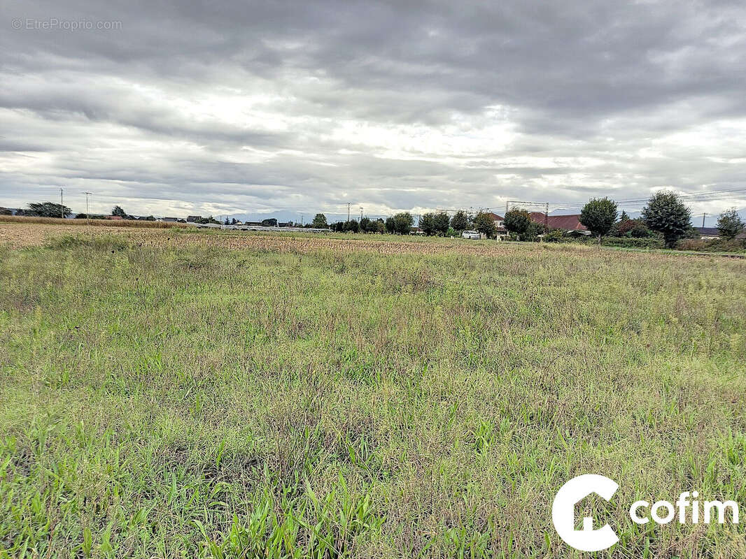 Terrain à BORDES