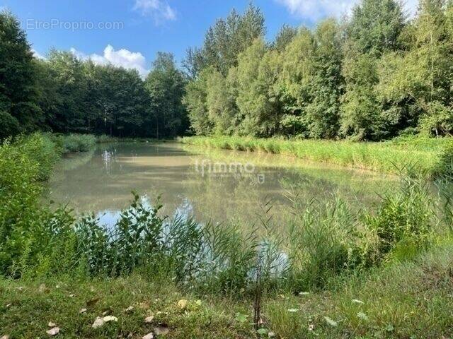 Terrain à CIREY-SUR-VEZOUZE