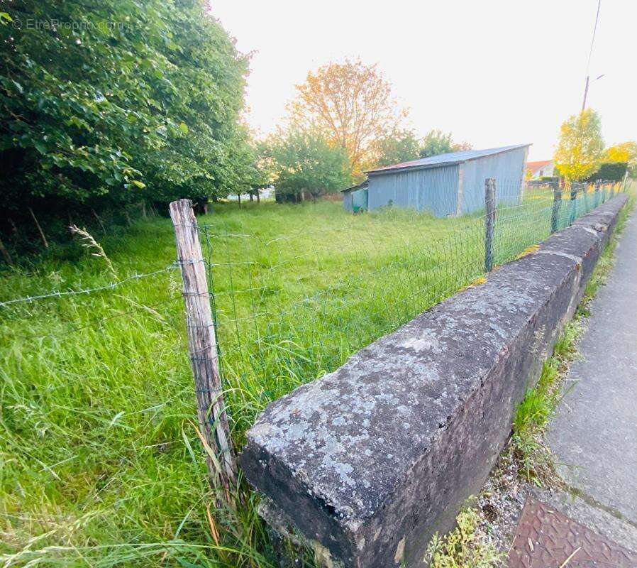 Terrain à MONTROND-LE-CHATEAU