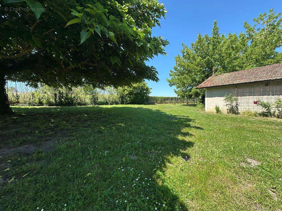 Maison À Vendre - photo 3