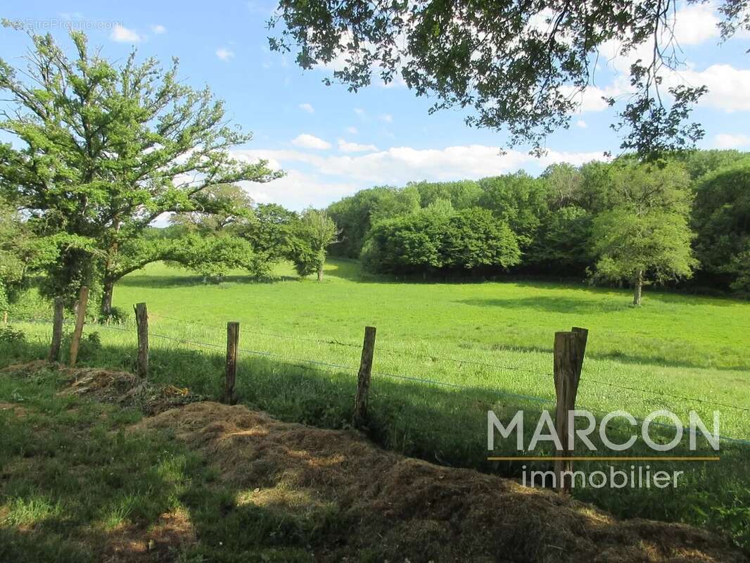 Maison à MAISON-FEYNE