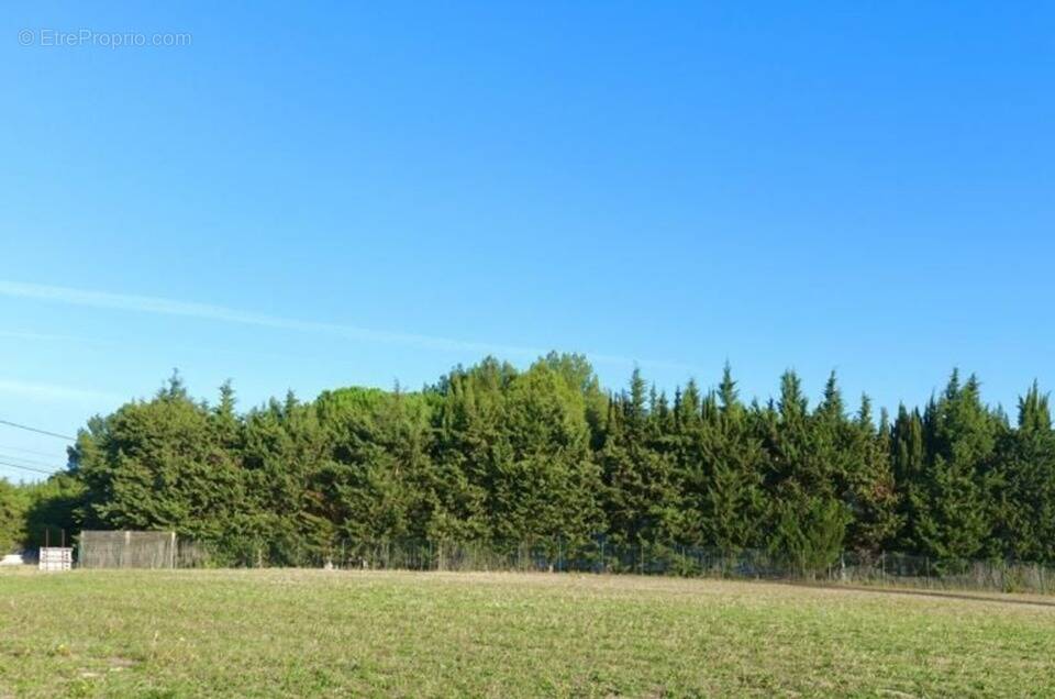 Terrain à VILLENEUVE-LES-MONTREAL