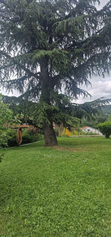 A saisir Maison bourgeoise composée de 2 appartements avec de nombreuses dépendances et  un grand terrain de 1 - photo 13