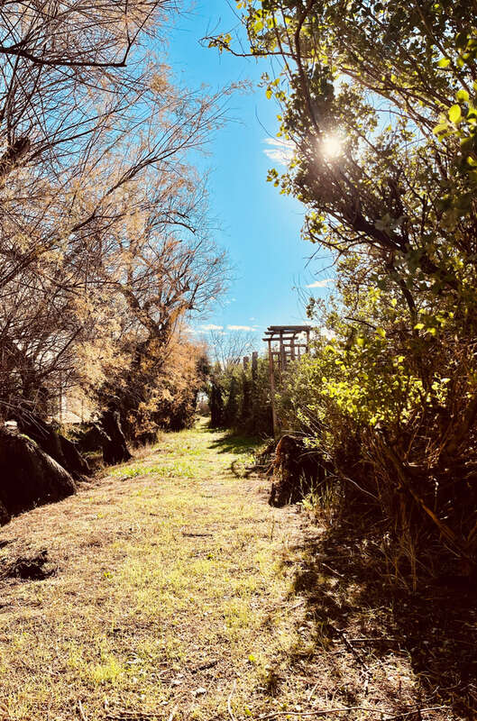 Maison à FRONTIGNAN